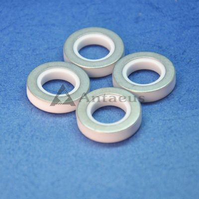 Al2o3 van 95% 96% Alumina het Ceramische Verzegelende Verbindingsstuk Ring For Auto Lithium Battery van Ring Washer Gasket Seal Ring
